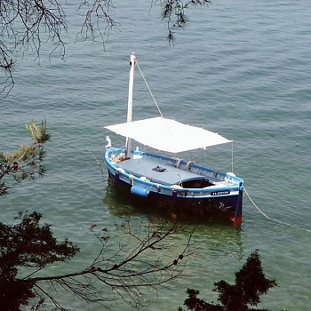 Le Cormoran, pointu de 1962 amaré au Brusc Le Cormoran, pointu de 1962 amaré au Brusc