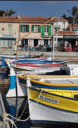 Terrasse de café sur Le port du Brusc