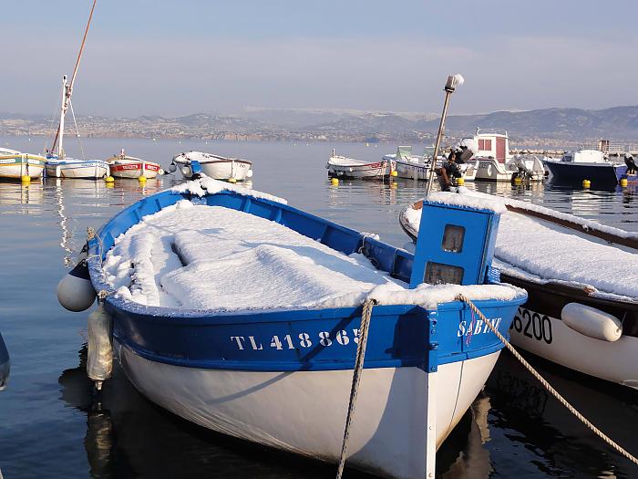 Le pointu Sabine sous la neige en février 2012 - © Patrick Escriva