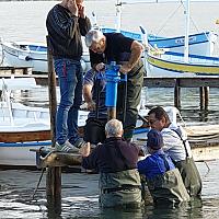 Pose de pieux en bois pour les pontons dans la lagune du Brusc