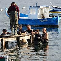 Pose de pieux en bois pour les pontons des pointus dans la lagune du Brusc