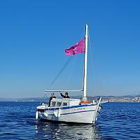 Octobre Rose avec les pointus du Brusc