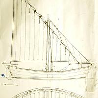 Bette méditerranéenne, dessin ancien