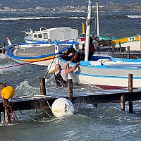 Sauvetage de pointu pendant la tempête Nils