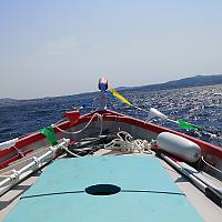 Pointu toulonnais dans la baie de Sanary / Six-Fours