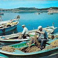 Pêcheurs sur Pointus dans le port du Brusc en 1960