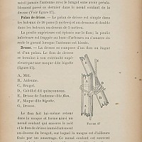 Jules Vence, Bateaux et Embarcations & Voilure Latine, page 49